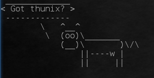☣ thunix ☣